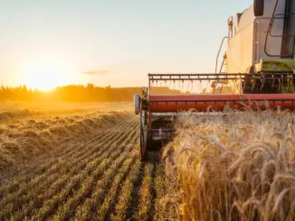 Klimaangepasste Landwirtschaft