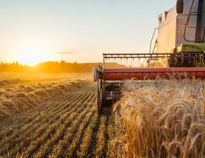 Klimaangepasste Landwirtschaft