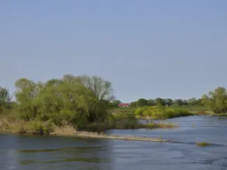 Naturschutzgroßprojekt Krautsand