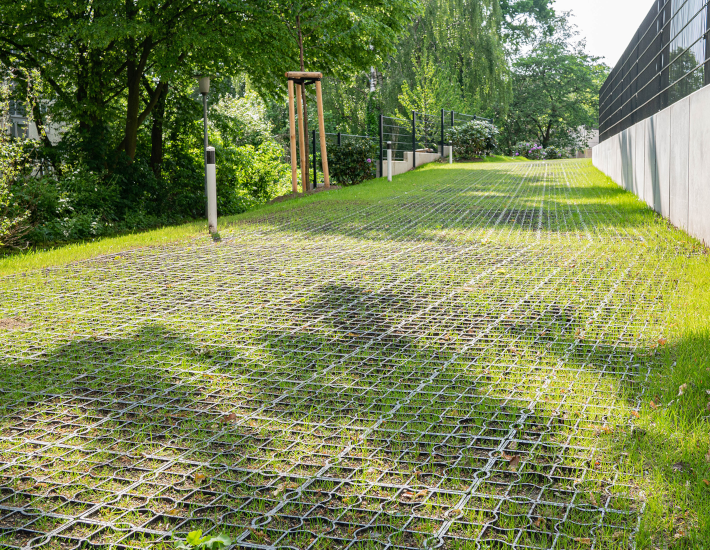 Regenwasser Schwammstadt