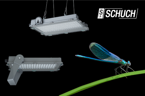 Licht Beleuchtung