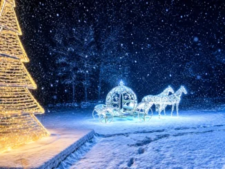 Licht Weihnachtsdekoration